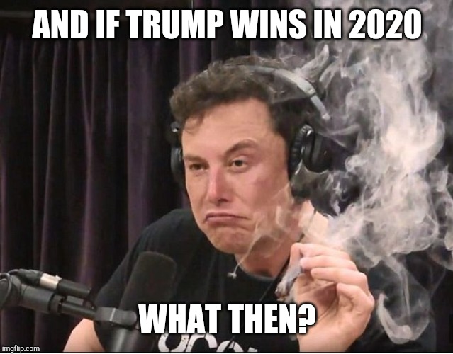 Elon Musk smoking a joint | AND IF TRUMP WINS IN 2020 WHAT THEN? | image tagged in elon musk smoking a joint | made w/ Imgflip meme maker