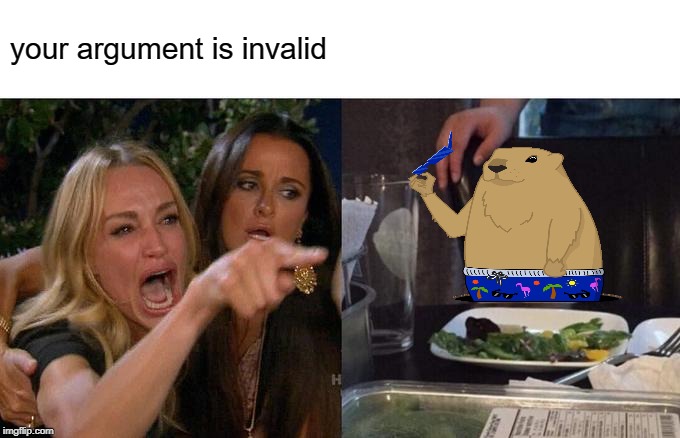 Woman yelling at groundhog | your argument is invalid | image tagged in memes,woman yelling at cat | made w/ Imgflip meme maker
