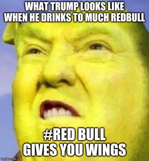WHAT TRUMP LOOKS LIKE WHEN HE DRINKS TO MUCH REDBULL; #RED BULL GIVES YOU WINGS | image tagged in redbull,trump meme | made w/ Imgflip meme maker