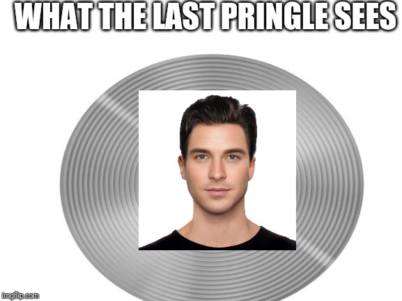 True | WHAT THE LAST PRINGLE SEES | image tagged in true,pringles,what the last pringle sees | made w/ Imgflip meme maker