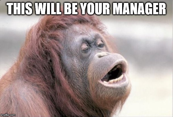 Monkey OOH Meme | THIS WILL BE YOUR MANAGER | image tagged in memes,monkey ooh | made w/ Imgflip meme maker