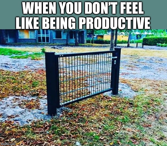 WHEN YOU DON’T FEEL LIKE BEING PRODUCTIVE | image tagged in funny | made w/ Imgflip meme maker