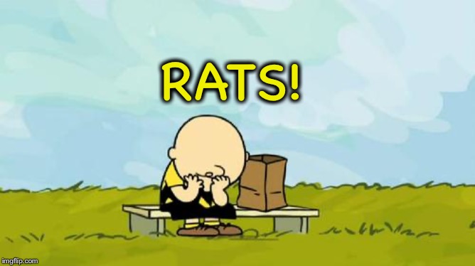 Depressed Charlie Brown | RATS! | image tagged in depressed charlie brown | made w/ Imgflip meme maker