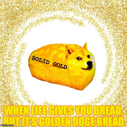 When Life Gives You Bread | SOLID GOLD; WHEN LIFE GIVES YOU BREAD, BUT IT’S GOLDEN DOGE BREAD | image tagged in doge,gold,bread,doge bread,shibe,shibes | made w/ Imgflip meme maker