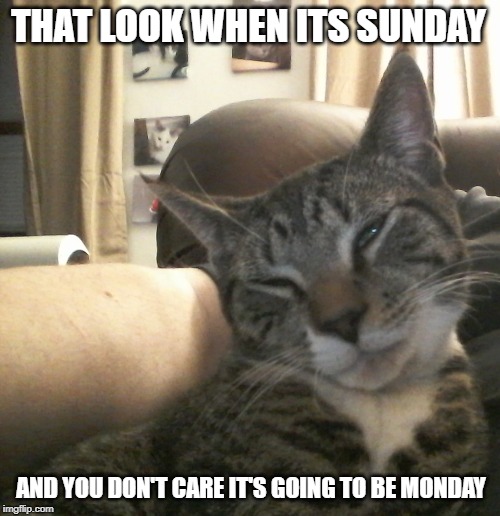 THAT LOOK WHEN ITS SUNDAY; AND YOU DON'T CARE IT'S GOING TO BE MONDAY | image tagged in mondays | made w/ Imgflip meme maker