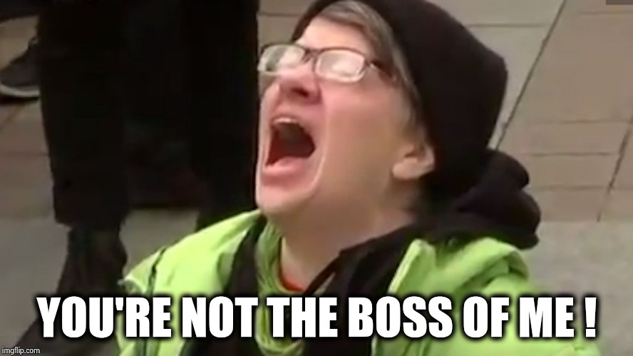 Screaming Liberal  | YOU'RE NOT THE BOSS OF ME ! | image tagged in screaming liberal | made w/ Imgflip meme maker