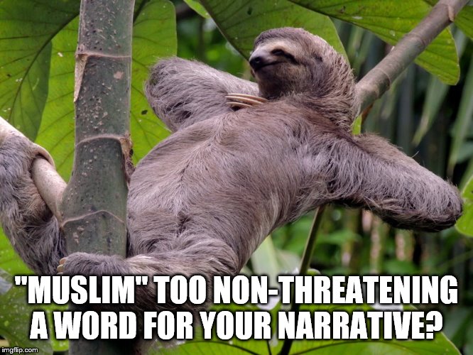 Lazy Sloth | "MUSLIM" TOO NON-THREATENING A WORD FOR YOUR NARRATIVE? | image tagged in lazy sloth | made w/ Imgflip meme maker