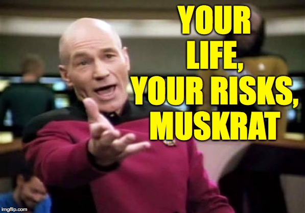 Picard Wtf Meme | YOUR LIFE, YOUR RISKS, MUSKRAT | image tagged in memes,picard wtf | made w/ Imgflip meme maker