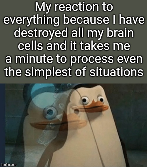 Me without my brain cells | My reaction to everything because I have destroyed all my brain cells and it takes me a minute to process even the simplest of situations | image tagged in madagascar penguin,fun,flashback,face | made w/ Imgflip meme maker
