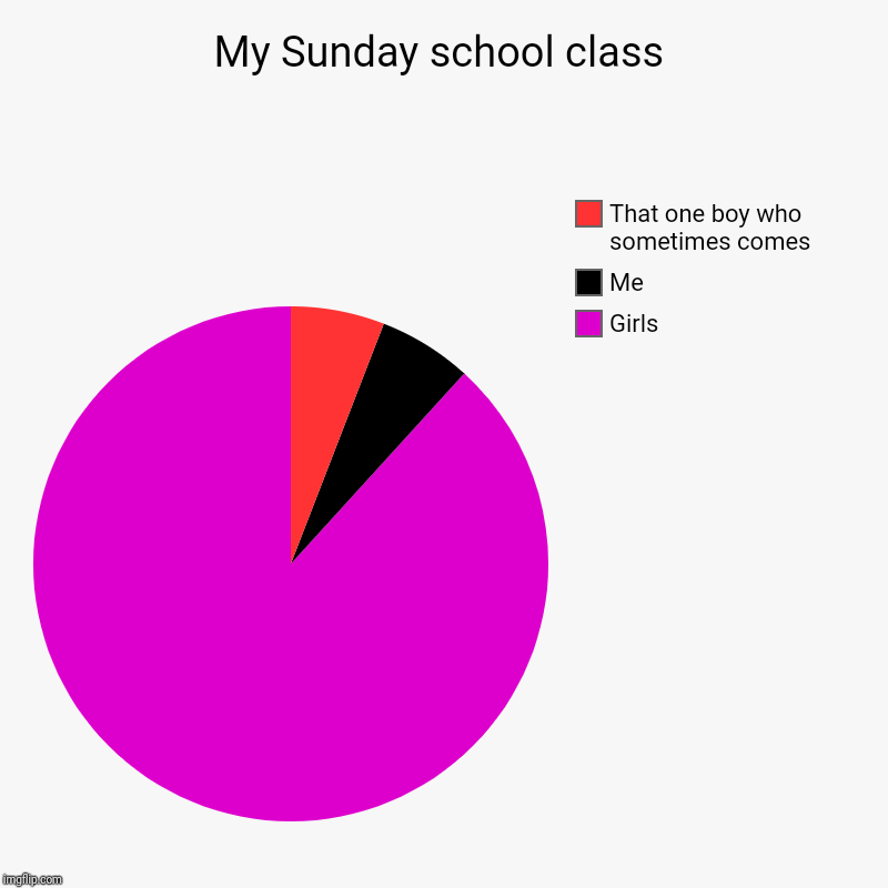 My Sunday school class | Girls, Me, That one boy who sometimes comes | image tagged in charts,pie charts | made w/ Imgflip chart maker