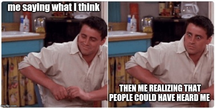 Joey from Friends | me saying what I think; THEN ME REALIZING THAT PEOPLE COULD HAVE HEARD ME | image tagged in joey from friends | made w/ Imgflip meme maker