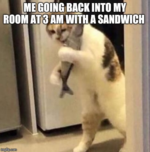 Hungry cat |  ME GOING BACK INTO MY ROOM AT 3 AM WITH A SANDWICH | image tagged in hungry cat | made w/ Imgflip meme maker