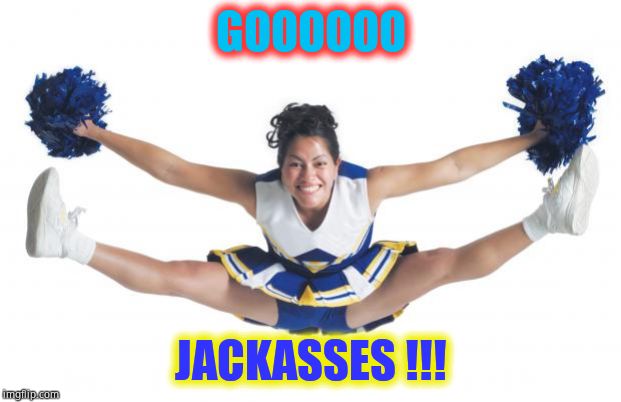 Cheerleader | GOOOOOO JACKASSES !!! | image tagged in cheerleader | made w/ Imgflip meme maker
