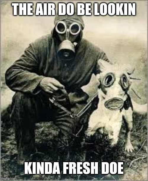Gas doggo | THE AIR DO BE LOOKIN; KINDA FRESH DOE | image tagged in gas doggo | made w/ Imgflip meme maker