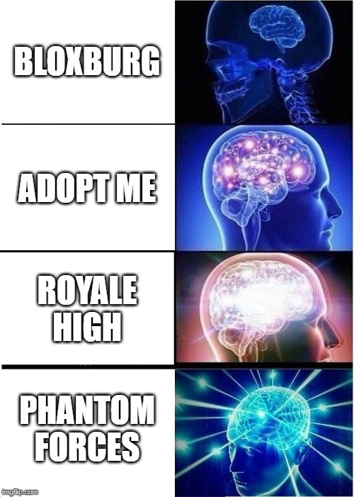 Expanding Brain Meme | BLOXBURG; ADOPT ME; ROYALE HIGH; PHANTOM FORCES | image tagged in memes,expanding brain | made w/ Imgflip meme maker