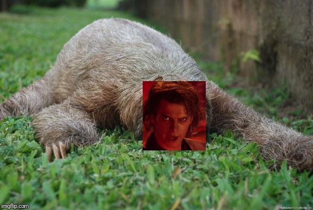 Sleeping sloth | image tagged in sleeping sloth | made w/ Imgflip meme maker