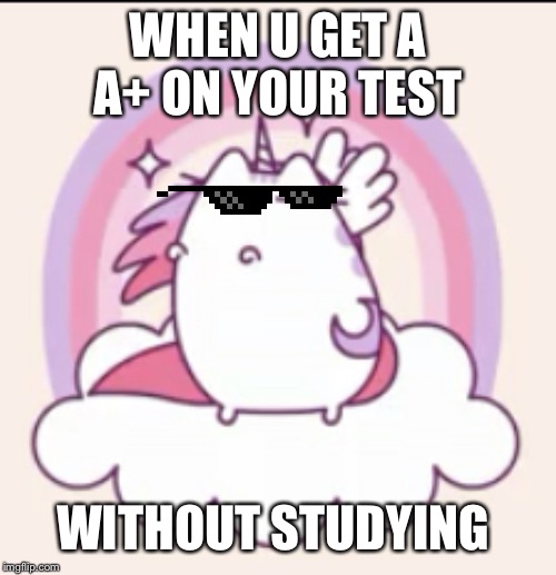 Uni cat | WHEN U GET A A+ ON YOUR TEST; WITHOUT STUDYING | image tagged in uni cat | made w/ Imgflip meme maker