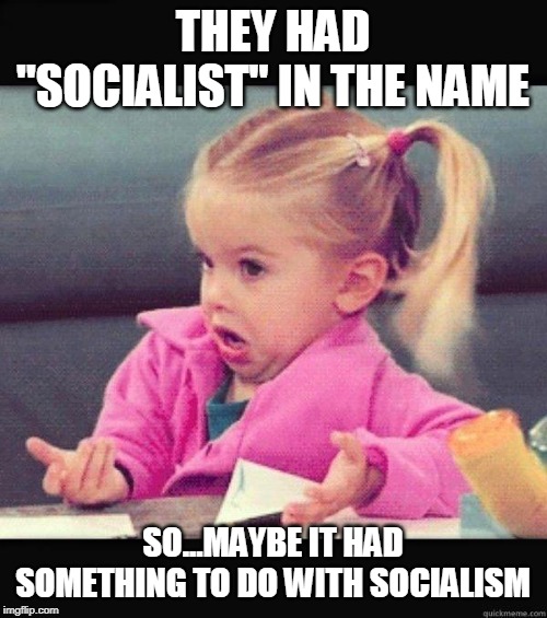 I dont know girl | THEY HAD "SOCIALIST" IN THE NAME SO...MAYBE IT HAD SOMETHING TO DO WITH SOCIALISM | image tagged in i dont know girl | made w/ Imgflip meme maker