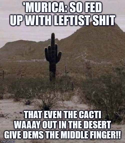 'MURICA: So fed-up with Leftists' shit that even the cacti give them the finger | 'MURICA: SO FED UP WITH LEFTIST SHIT; THAT EVEN THE CACTI WAAAY OUT IN THE DESERT GIVE DEMS THE MIDDLE FINGER!! | image tagged in cactus finger | made w/ Imgflip meme maker
