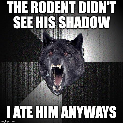 Insanity Wolf | THE RODENT DIDN'T
SEE HIS SHADOW; I ATE HIM ANYWAYS | image tagged in memes,insanity wolf,groundhog day,first world problems,shadow the hedgehog,one does not simply | made w/ Imgflip meme maker