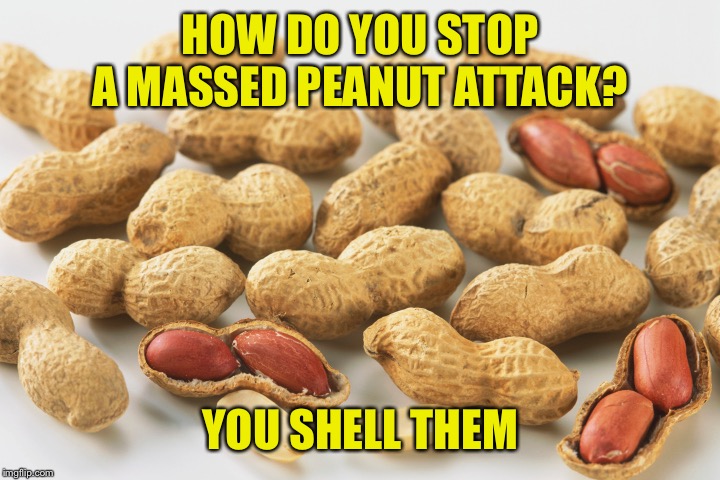Peanuts in the Army | HOW DO YOU STOP A MASSED PEANUT ATTACK? YOU SHELL THEM | image tagged in peanuts,attack,shell,army | made w/ Imgflip meme maker