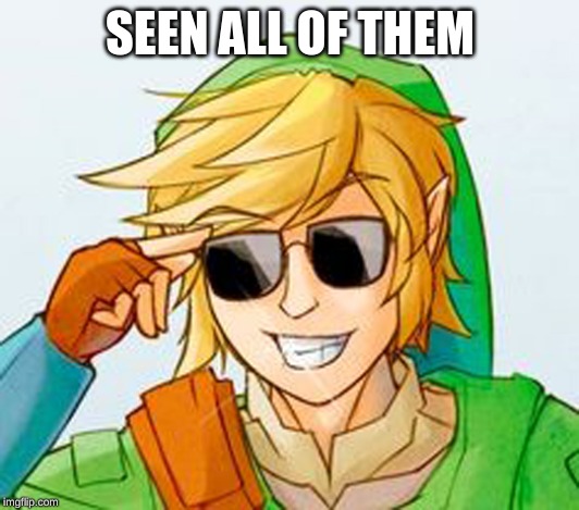 Troll Link | SEEN ALL OF THEM | image tagged in troll link | made w/ Imgflip meme maker