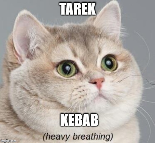 Heavy Breathing Cat | TAREK; KEBAB | image tagged in memes,heavy breathing cat | made w/ Imgflip meme maker