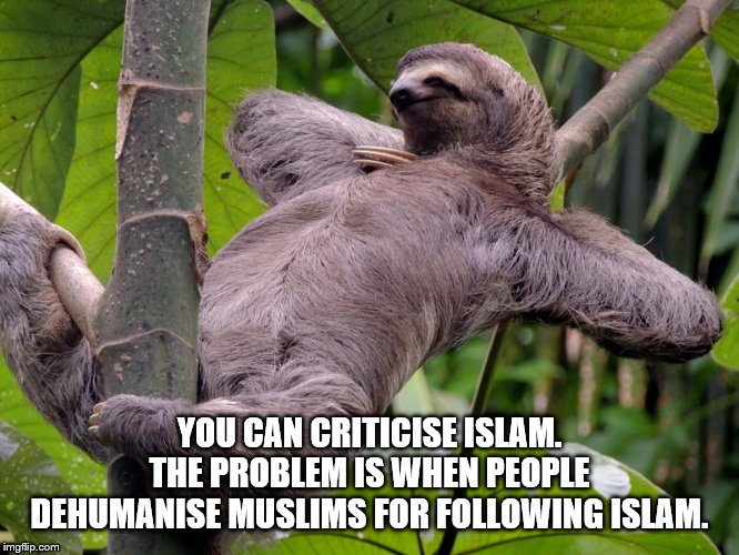 Lazy Sloth | YOU CAN CRITICISE ISLAM. THE PROBLEM IS WHEN PEOPLE DEHUMANISE MUSLIMS FOR FOLLOWING ISLAM. | image tagged in lazy sloth | made w/ Imgflip meme maker