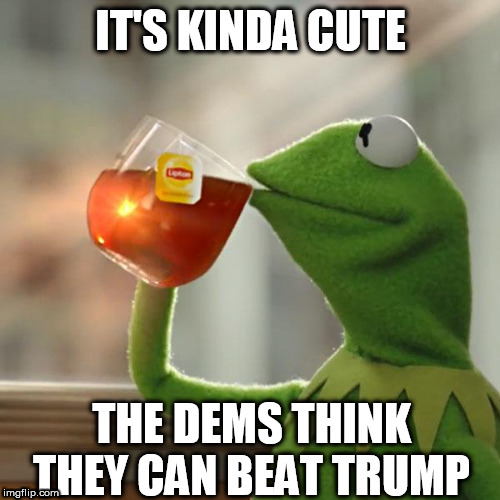 But That's None Of My Business Meme | IT'S KINDA CUTE; THE DEMS THINK THEY CAN BEAT TRUMP | image tagged in memes,but thats none of my business,kermit the frog | made w/ Imgflip meme maker