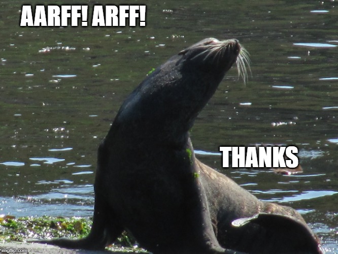 AARFF! ARFF! THANKS | made w/ Imgflip meme maker