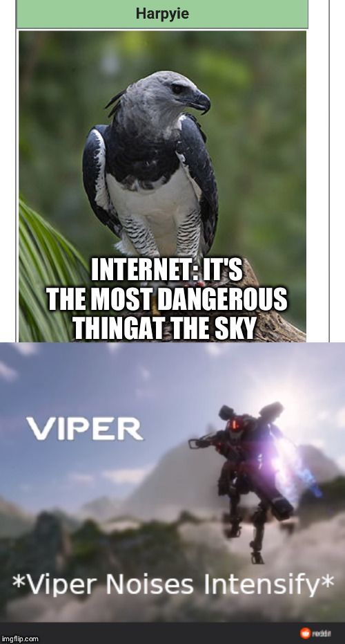 Titanfall | INTERNET: IT'S THE MOST DANGEROUS THINGAT THE SKY | image tagged in titanfall,memes | made w/ Imgflip meme maker