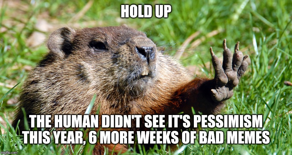 HOLD UP THE HUMAN DIDN'T SEE IT'S PESSIMISM THIS YEAR, 6 MORE WEEKS OF BAD MEMES | made w/ Imgflip meme maker