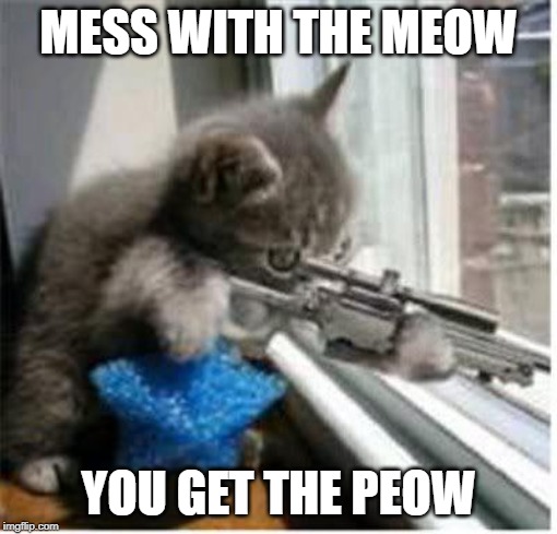 cats with guns | MESS WITH THE MEOW; YOU GET THE PEOW | image tagged in cats with guns | made w/ Imgflip meme maker