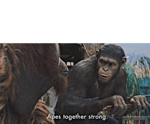 High Quality Apes together strong Blank Meme Template