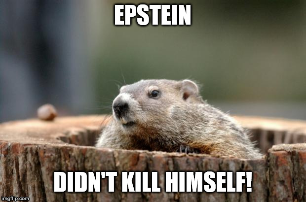 Groundhog | EPSTEIN; DIDN'T KILL HIMSELF! | image tagged in groundhog | made w/ Imgflip meme maker