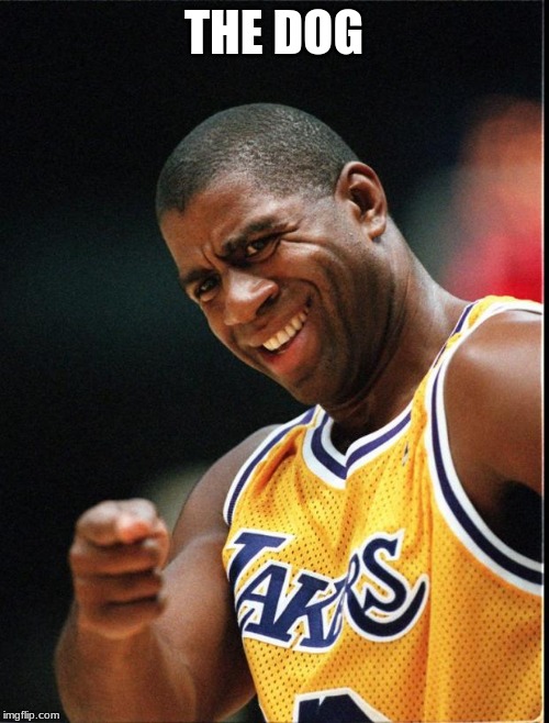 Magic Johnson Positive | THE DOG | image tagged in magic johnson positive | made w/ Imgflip meme maker