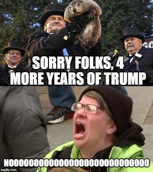 Unhappy Snowflake | SORRY FOLKS, 4 MORE YEARS OF TRUMP; NOOOOOOOOOOOOOOOOOOOOOOOOOOOO | image tagged in groundhog day,screaming libtard,Conservative | made w/ Imgflip meme maker