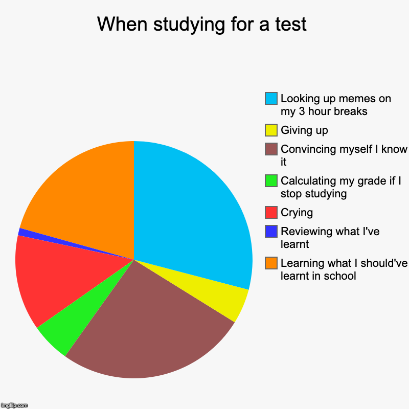 I really only do this  by mid-terms. By other test I just convince myself I know it. | When studying for a test | Learning what I should've learnt in school, Reviewing what I've learnt, Crying, Calculating my grade if I stop st | image tagged in charts,pie charts,school,studying | made w/ Imgflip chart maker