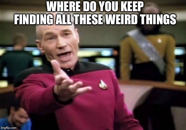 Picard Wtf Meme | WHERE DO YOU KEEP FINDING ALL THESE WEIRD THINGS | image tagged in memes,picard wtf | made w/ Imgflip meme maker