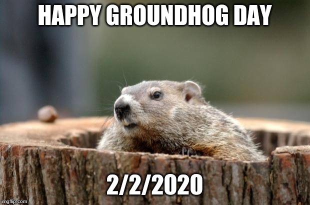 Groundhog | HAPPY GROUNDHOG DAY; 2/2/2020 | image tagged in groundhog | made w/ Imgflip meme maker
