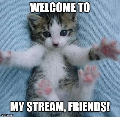 Cat Open Arms | WELCOME TO; MY STREAM, FRIENDS! | image tagged in cat open arms | made w/ Imgflip meme maker