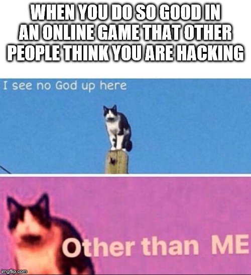 I see no god up here | WHEN YOU DO SO GOOD IN AN ONLINE GAME THAT OTHER PEOPLE THINK YOU ARE HACKING | image tagged in i see no god up here | made w/ Imgflip meme maker