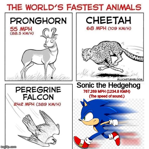 The world's fastest animals | Sonic the Hedgehog; 767.269 MPH (1234.8 KM/H)
(The speed of sound.) | image tagged in the world's fastest animals | made w/ Imgflip meme maker