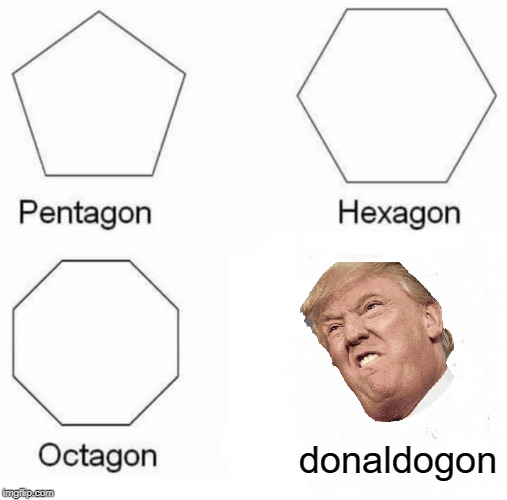 Pentagon Hexagon Octagon Meme | donaldogon | image tagged in memes,pentagon hexagon octagon | made w/ Imgflip meme maker