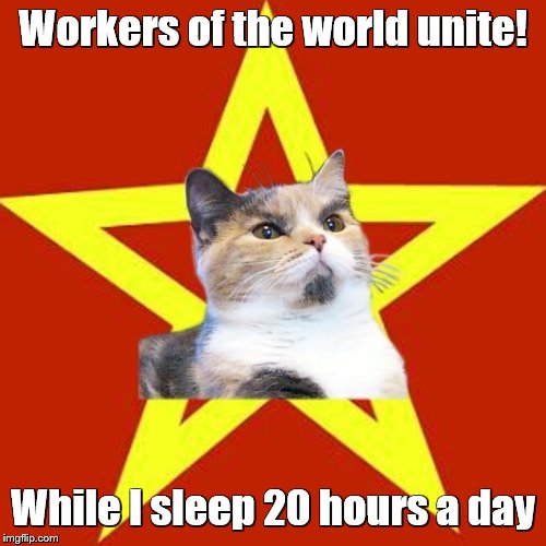 Lenin cat | Workers of the world unite! While I sleep 20 hours a day | image tagged in lenin cat,cats,lenin,communist,repost | made w/ Imgflip meme maker
