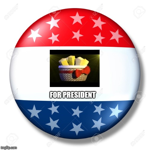 Blank for president | FOR PRESIDENT | image tagged in blank for president | made w/ Imgflip meme maker
