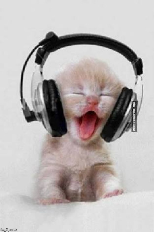Headphones | image tagged in headphones | made w/ Imgflip meme maker