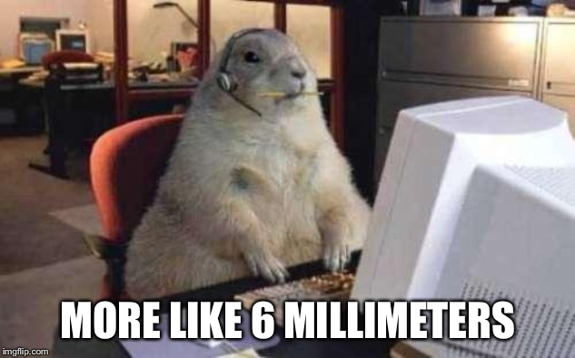 Working Groundhog | MORE LIKE 6 MILLIMETERS | image tagged in working groundhog | made w/ Imgflip meme maker