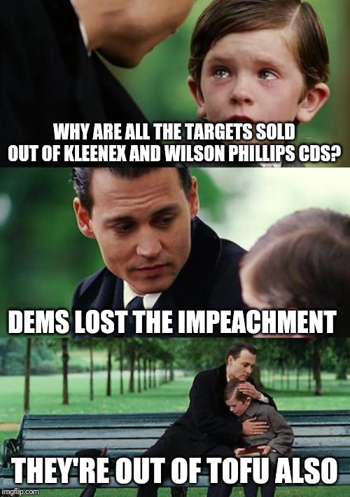 Finding Neverland | WHY ARE ALL THE TARGETS SOLD OUT OF KLEENEX AND WILSON PHILLIPS CDS? DEMS LOST THE IMPEACHMENT; THEY'RE OUT OF TOFU ALSO | image tagged in memes,finding neverland | made w/ Imgflip meme maker