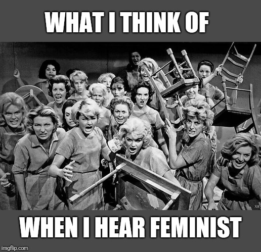 What exactly is a feminist and do you consider yourself one? Why? | WHAT I THINK OF; WHEN I HEAR FEMINIST | image tagged in angry women,feminism,women's rights,the patriarchy,fact,fiction | made w/ Imgflip meme maker